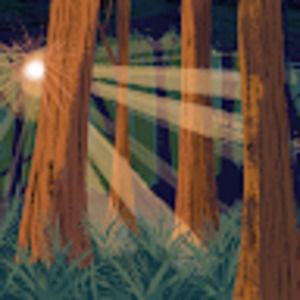 Meet your Posher, M.